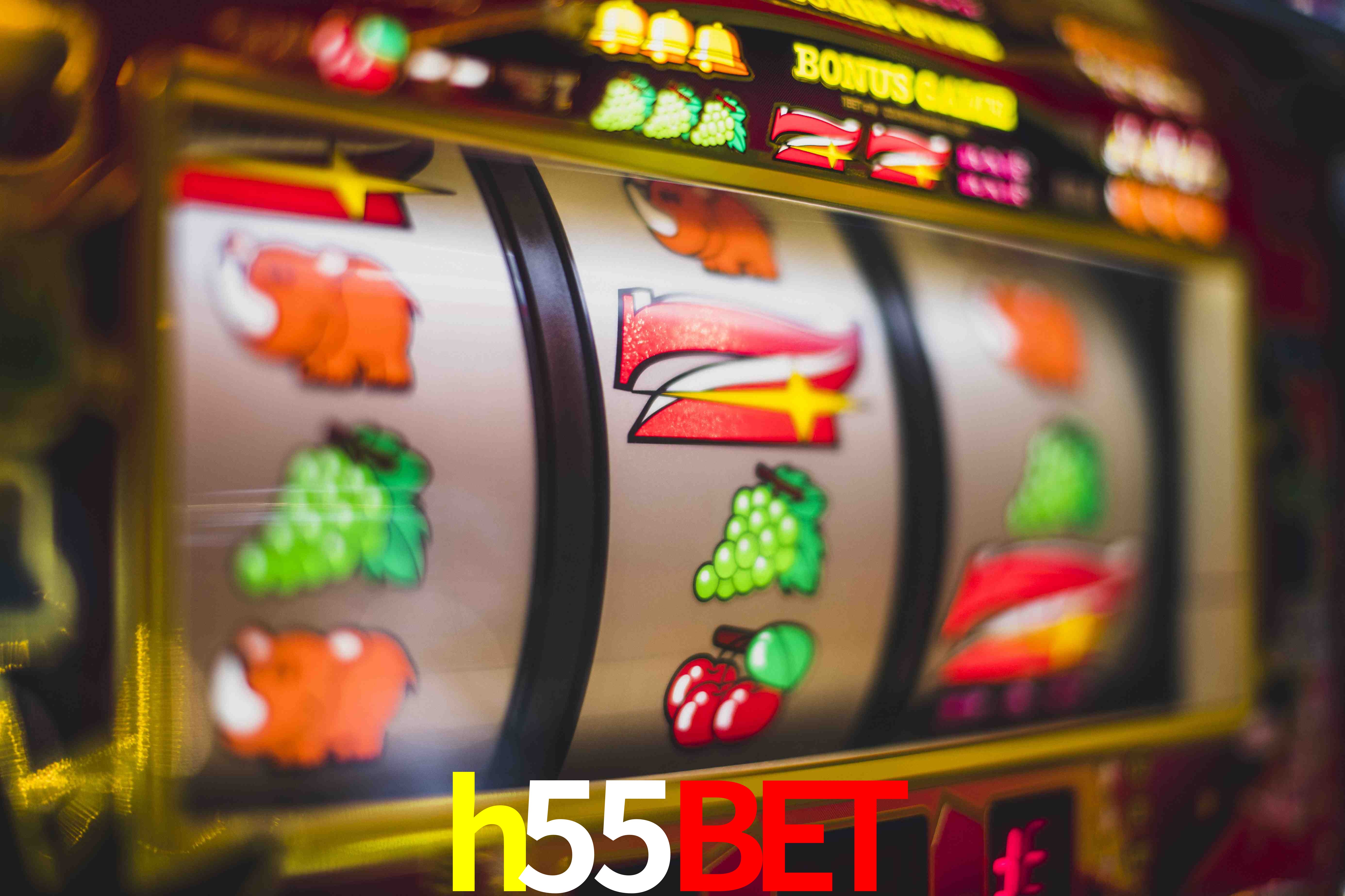 Sports Statistics h55bet